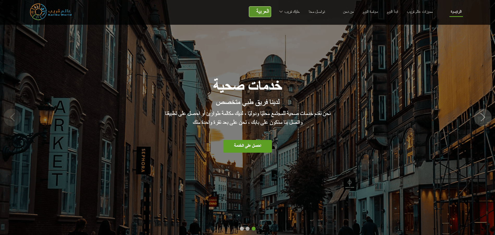 Web Development Project